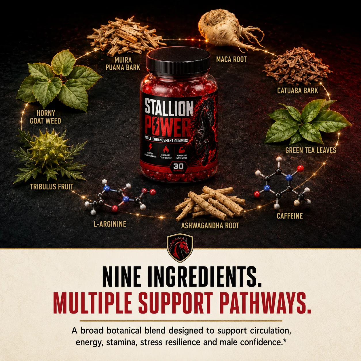 Stallion Power ingredient collage: L-Arginine, Maca Root, Muira Puama Bark, Catuaba Bark, Tribulus Fruit, Horny Goat Weed, Ashwagandha Root, Caffeine, Green Tea Leaves